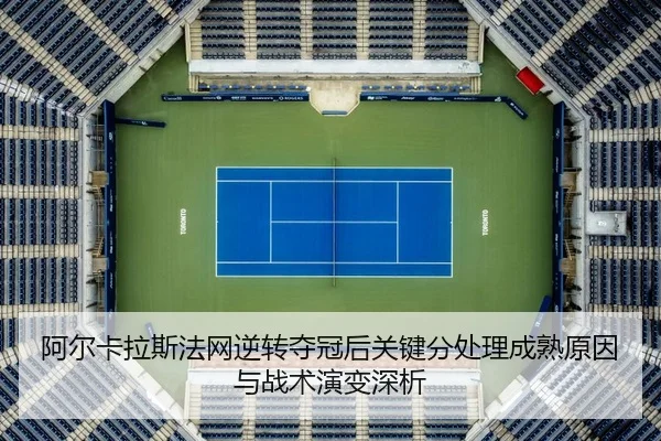 a-er-ka-la-si-fa-wang-ni-zhuan-duo-guan-hou-guan-jian-fen-chu-li-cheng-shu-yuan-yin-yu-zhan-shu-yan-bian-shen-xi-2-591.jpg