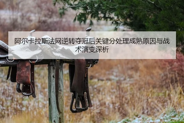 阿尔卡拉斯法网逆转夺冠后关键分处理成熟原因与战术演变深析