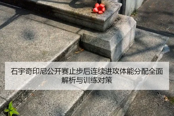 shi-yu-qi-yin-ni-gong-kai-sai-zhi-bu-hou-lian-xu-jin-gong-ti-neng-fen-pei-quan-mian-jie-xi-yu-xun-lian-dui-ce-2-338.jpg