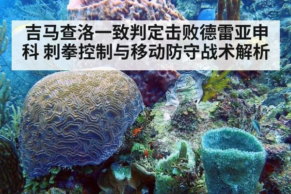 吉马查洛一致判定击败德雷亚申科 刺拳控制与移动防守战术解析